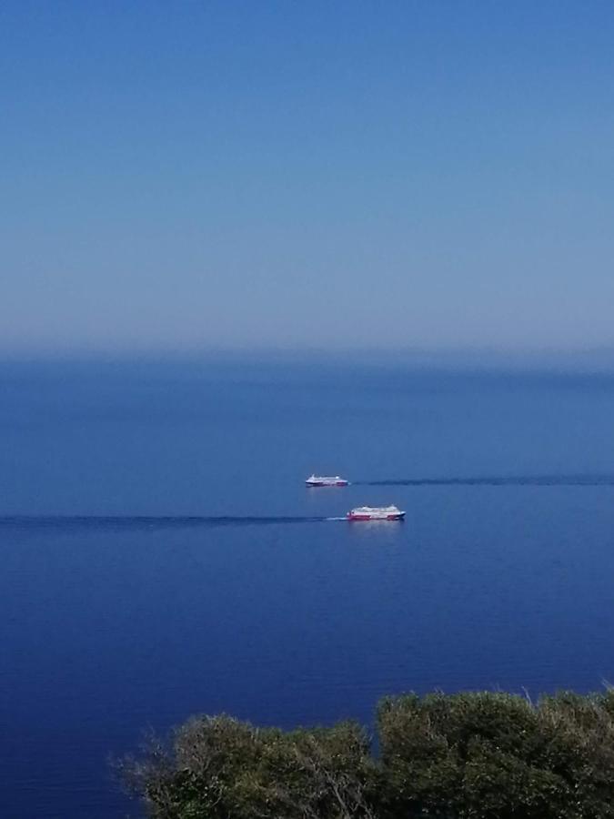 Ferienwohnung Aegean Deep Blue Andros Ano Aprovato Exterior foto